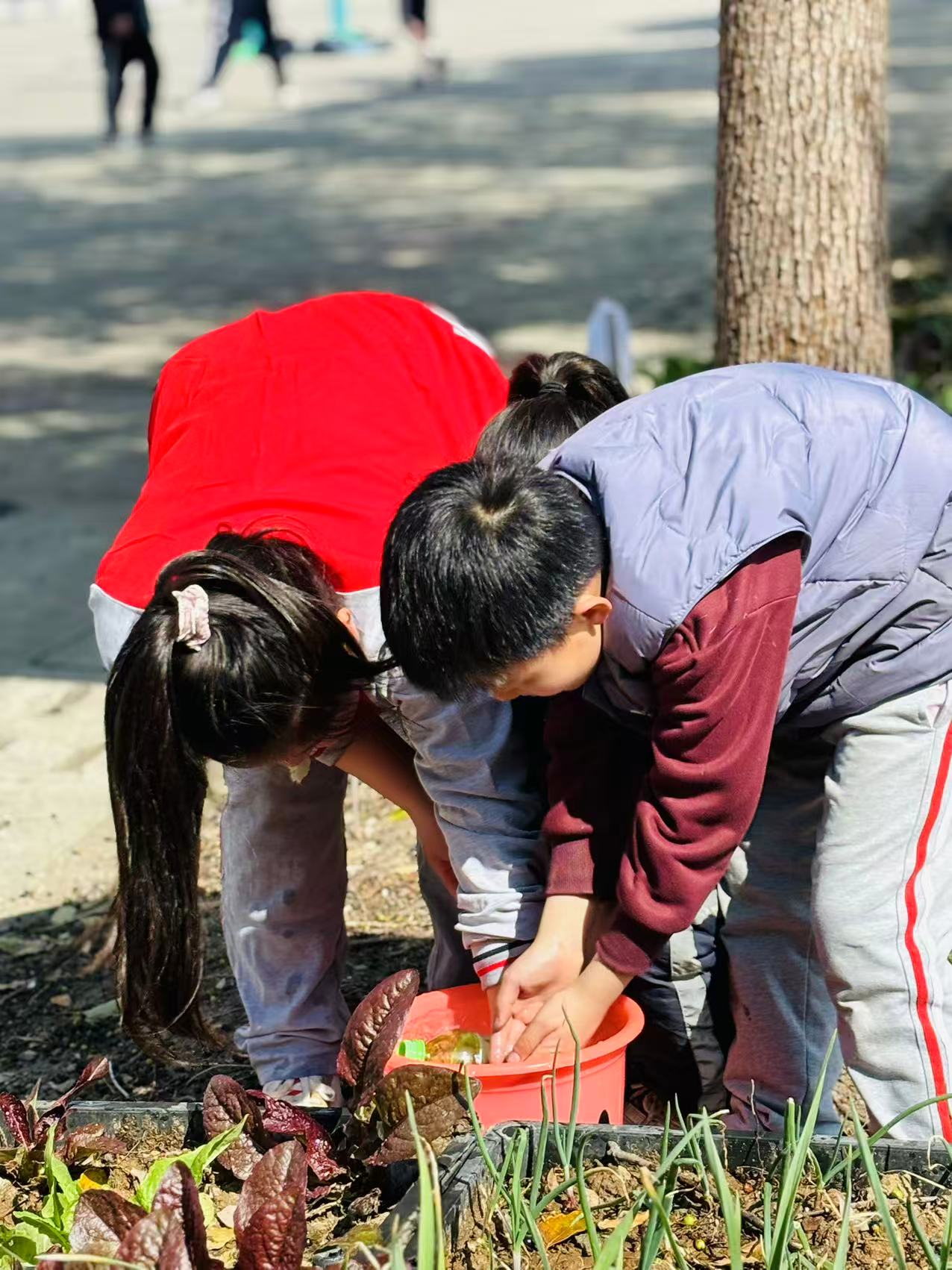 给植物浇水1.jpg
